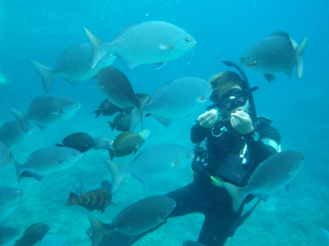 ダイビングをする人